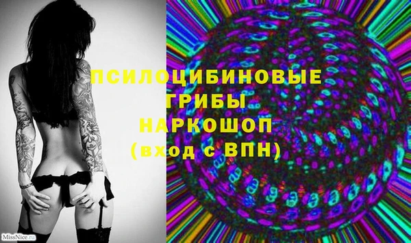 бошки Алзамай