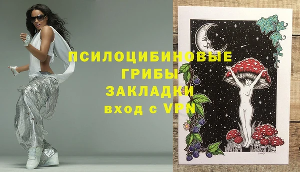 бошки Алзамай